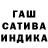 Канабис конопля Berika Turkoz