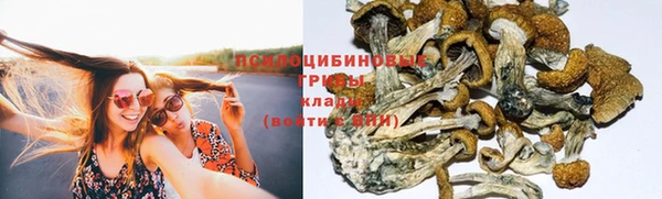 прущая мука Михайловск
