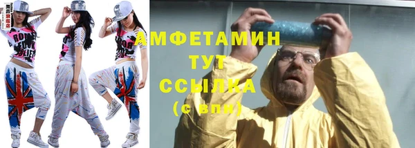 шишки Абаза