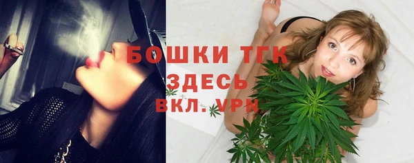 шишки Михайлов