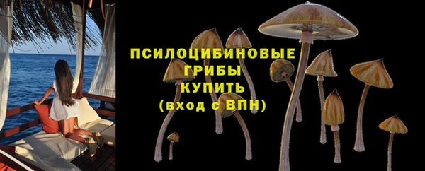 синтетический гашиш Михайловка