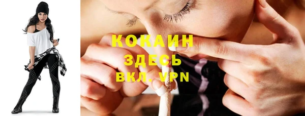 шишки Михайлов