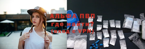 шишки Абаза