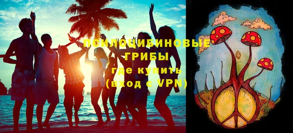 шишки Абаза